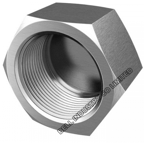 BSP NPT HEXAGON CAP 150LB 316 STAINLESS STEEL