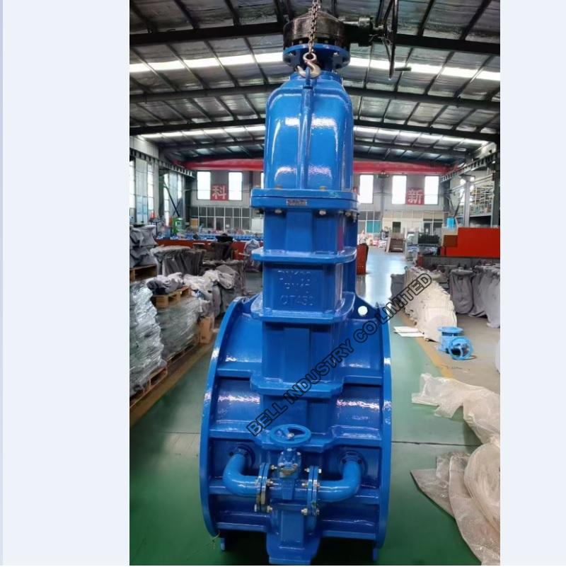 Ductile iron double block and bleed gate valve