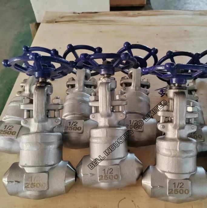Class 2500 Welded Bonnet Globe Valve
