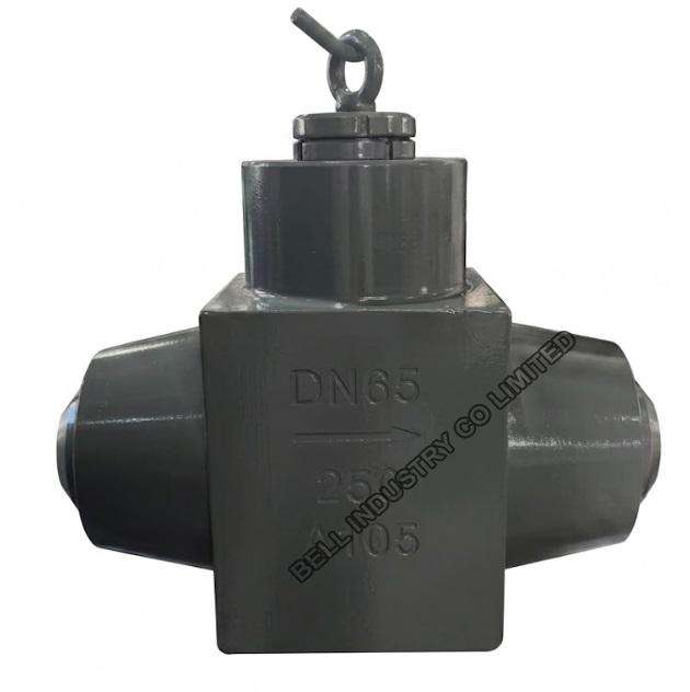 H61Y High Pressure Power Plant  Piston Check Valve