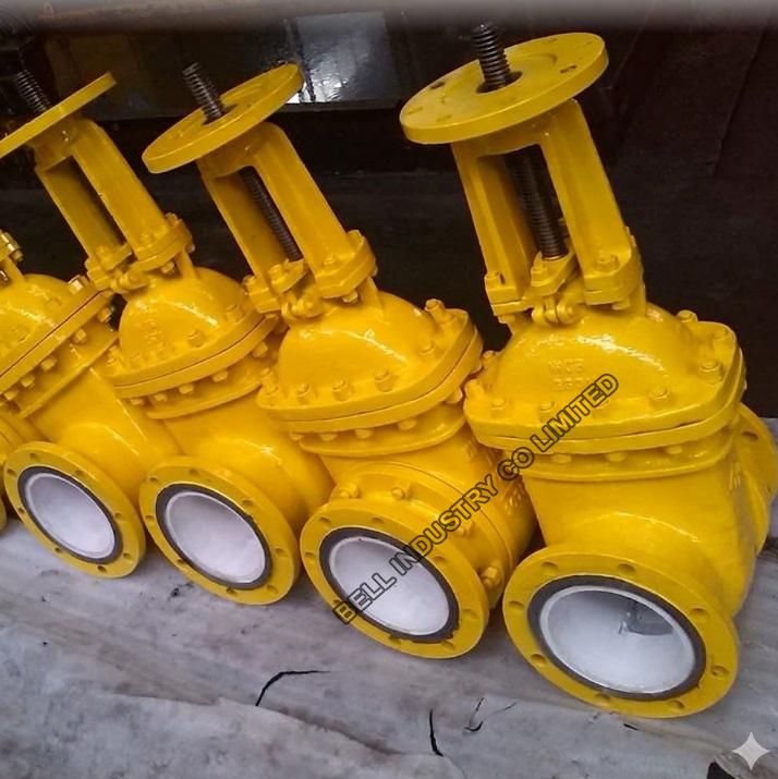 Abrasion resistant ash discharge valve
