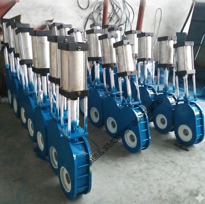 Pneumatic wafer double disc valve