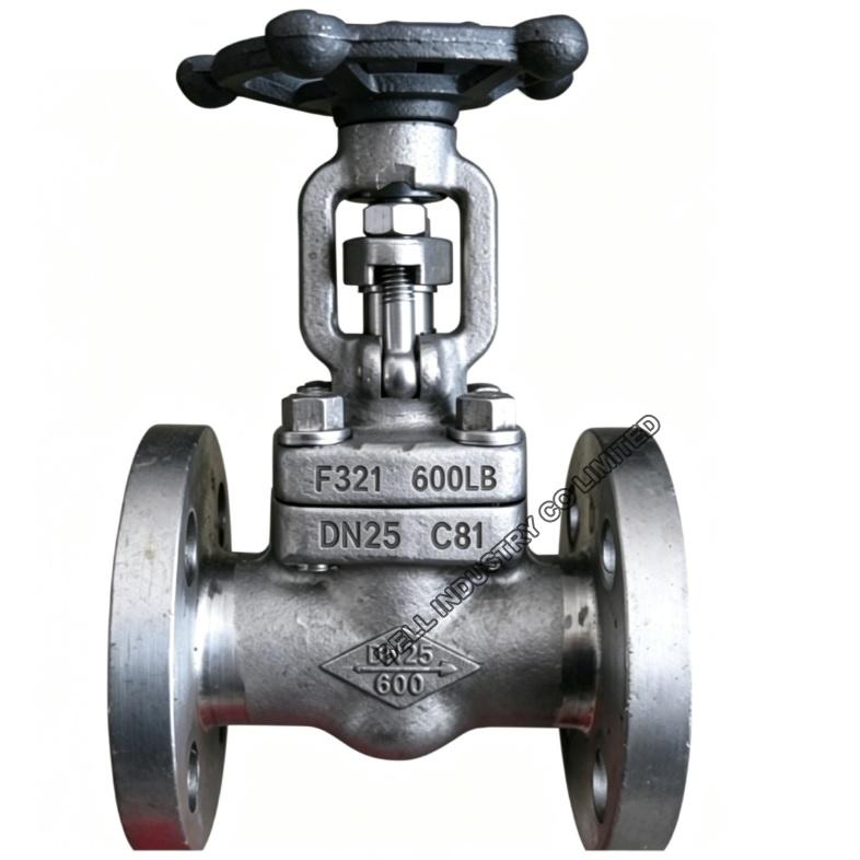 1 Inch CL600 API 602 Gate Valve F321H